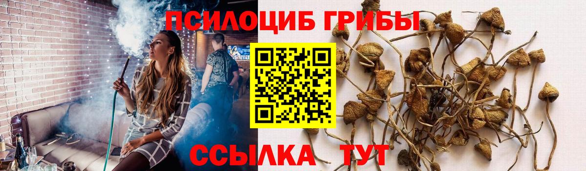 наркота  Вход с VPN  Галлюциногенные грибы Cubensis  Дивногорск  Псилоцибиновые грибы мицелий 